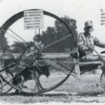 Leander Kokspang