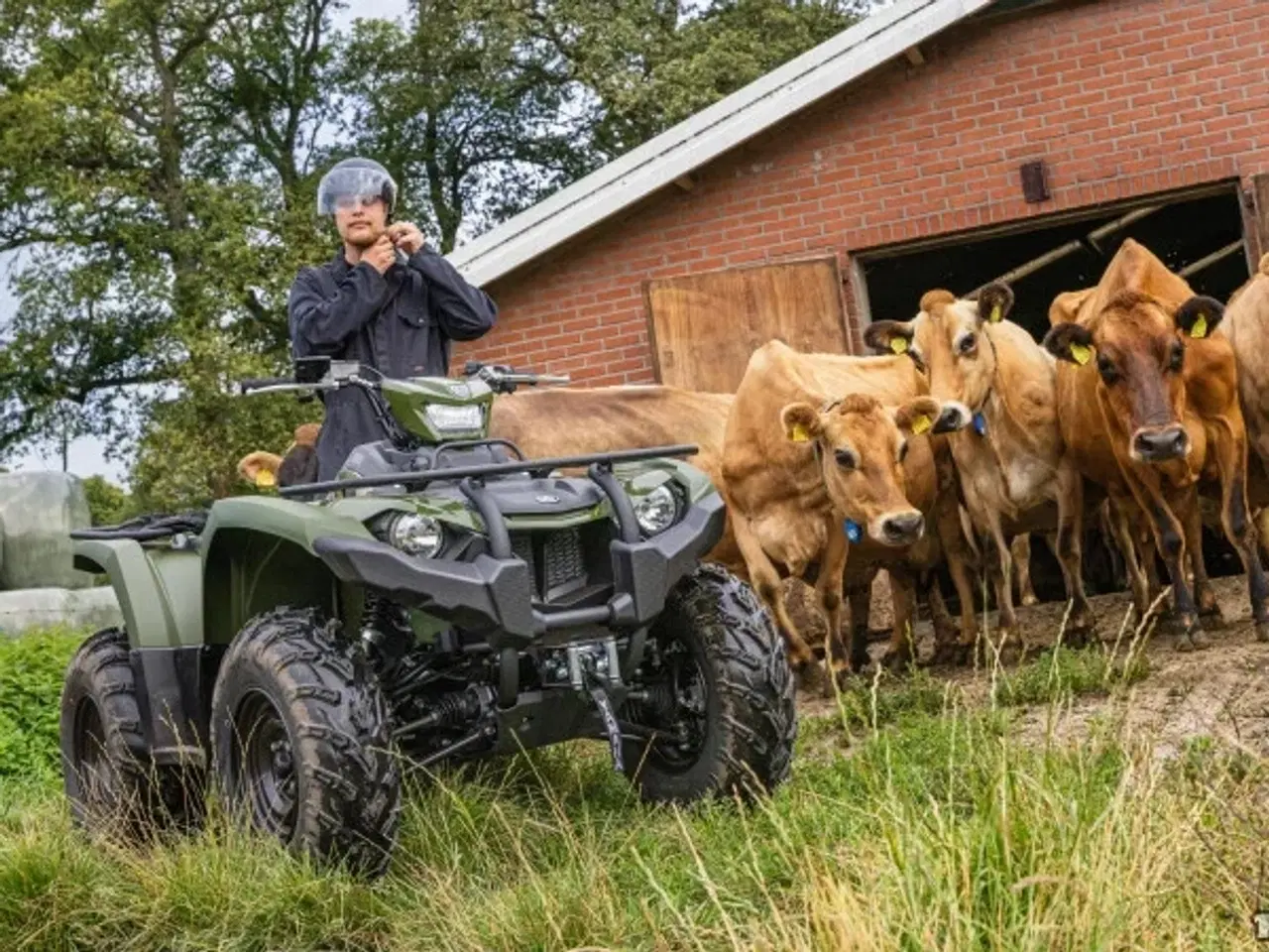 Billede 15 - Yamaha Kodiak 450 ESP - Ikke Traktor