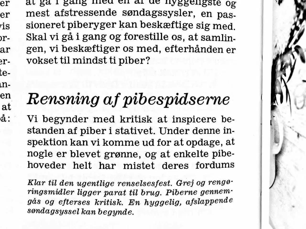 Billede 4 - Bogen om Piber og Tobak 