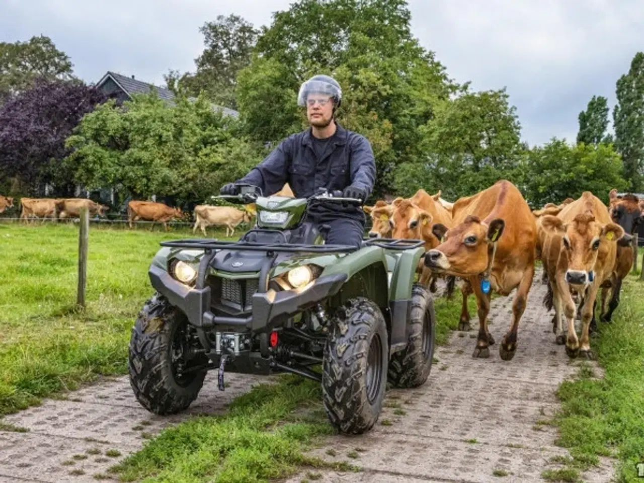 Billede 8 - Yamaha Kodiak 450 ESP - Ikke Traktor