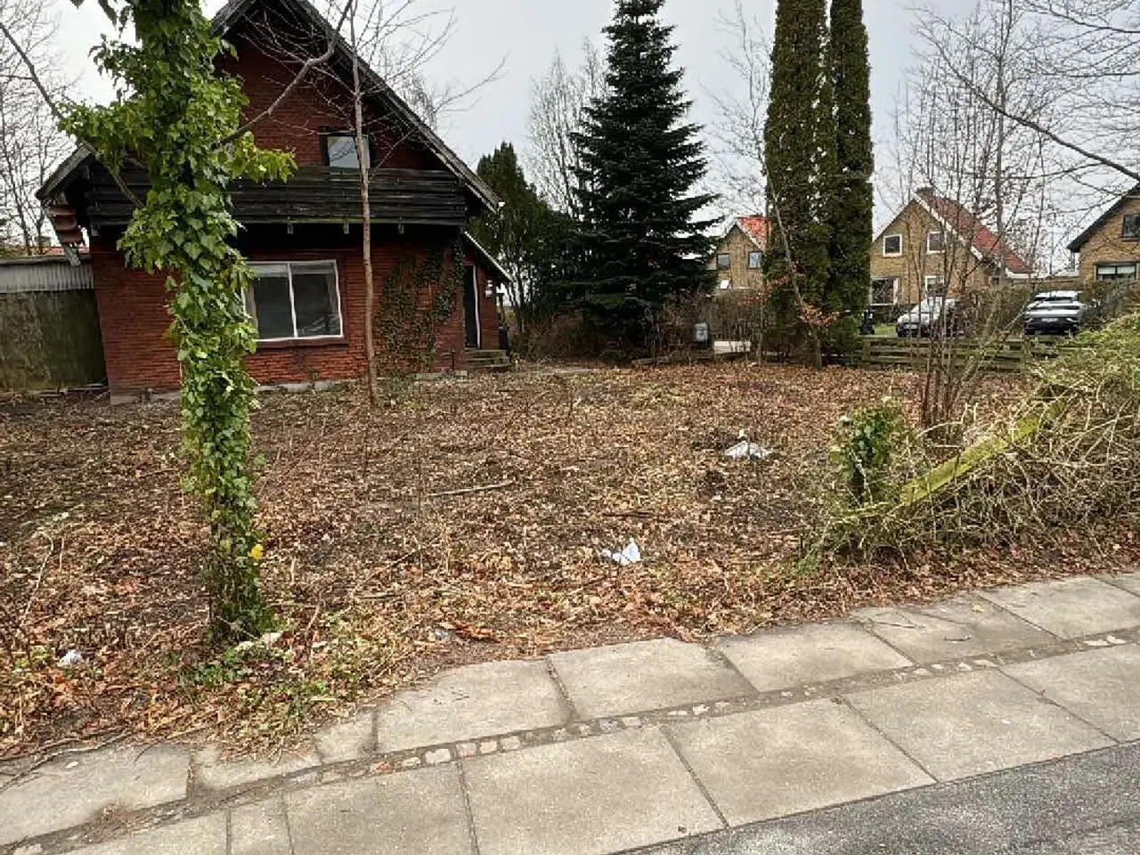 Billede 6 - GRATIS BRÆNDE-ALT SKAL VÆK 