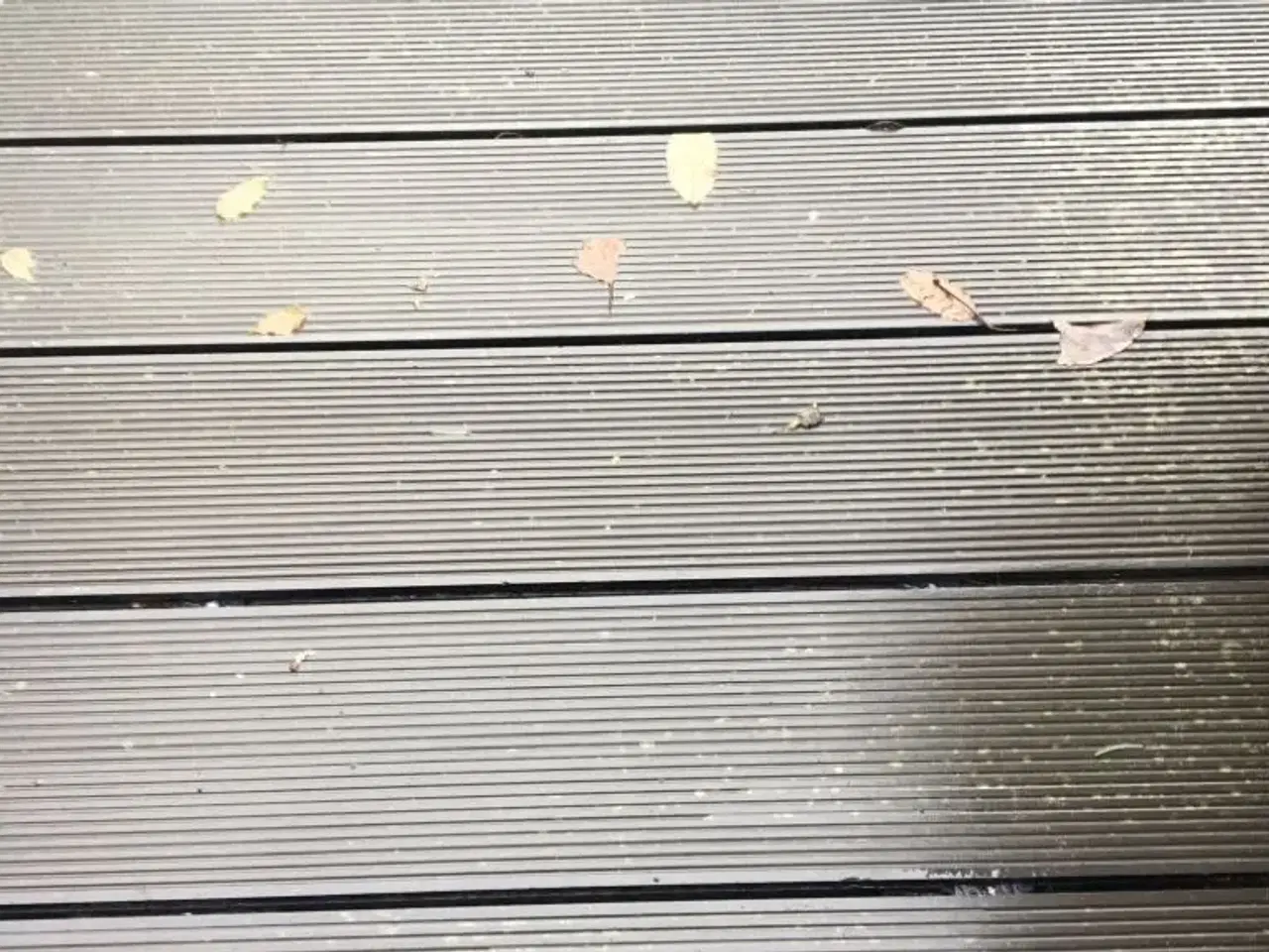 Billede 1 - Fundet på loft i dødsbo