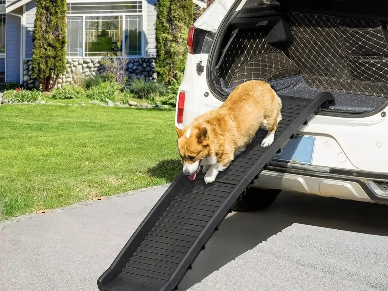 Billede 1 - Rampe Til Hunden