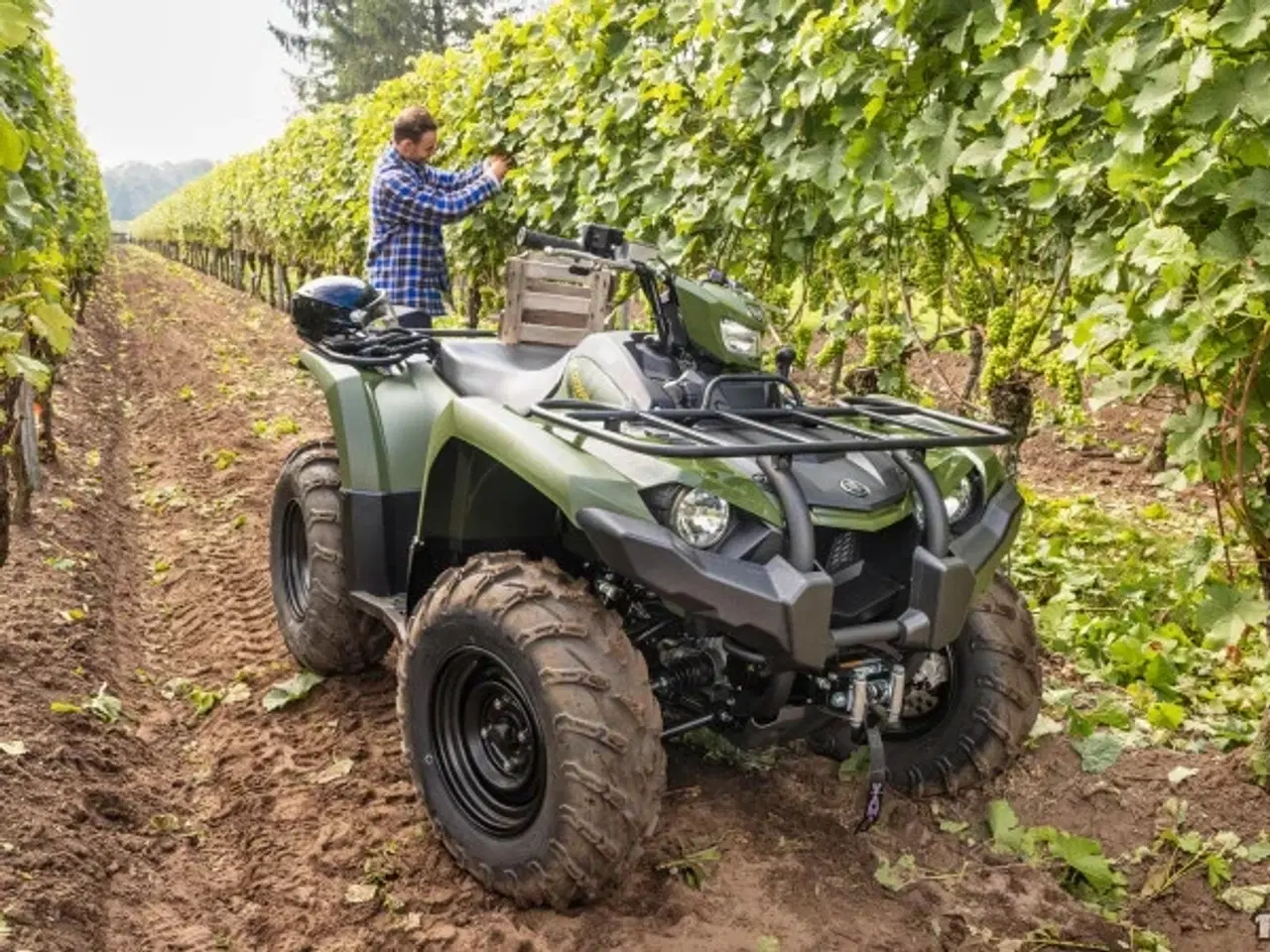 Billede 11 - Yamaha Kodiak 450 ESP - Traktor A