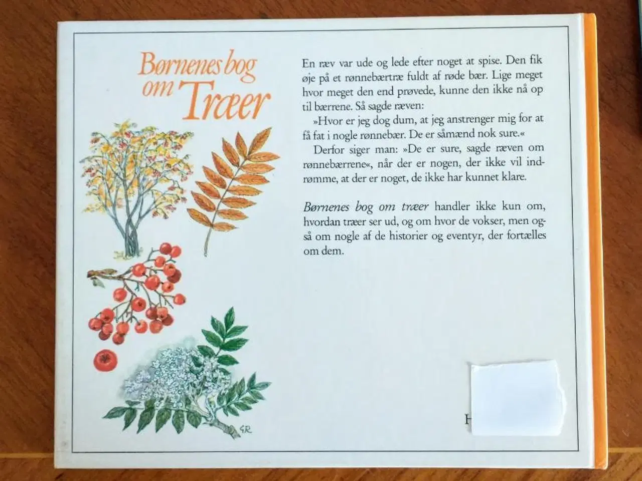 Billede 2 - Børnenes bog om Træer