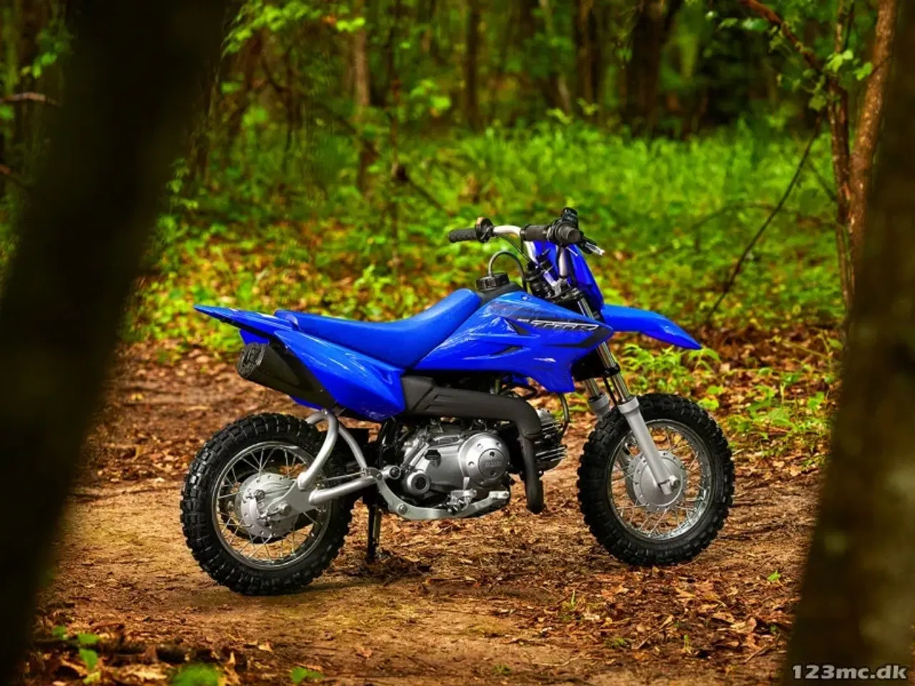 Billede 3 - Yamaha TT R50E