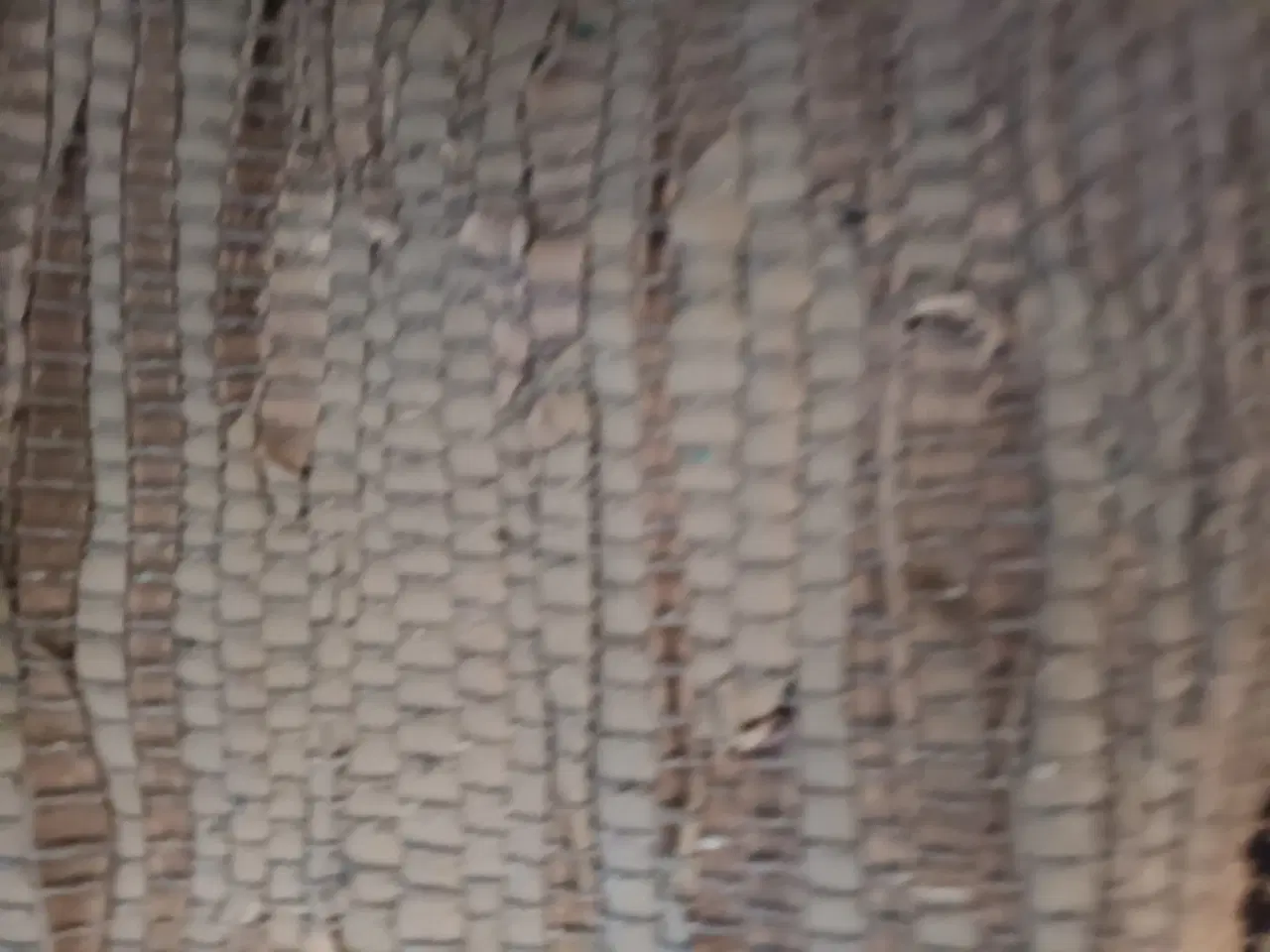 Billede 3 - FLOT KLUDETÆPPE 60X100 cm