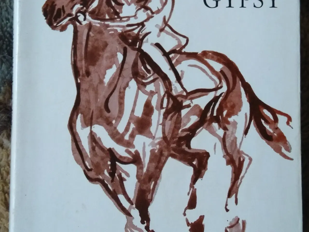 Billede 1 - Min Hest Gypsy