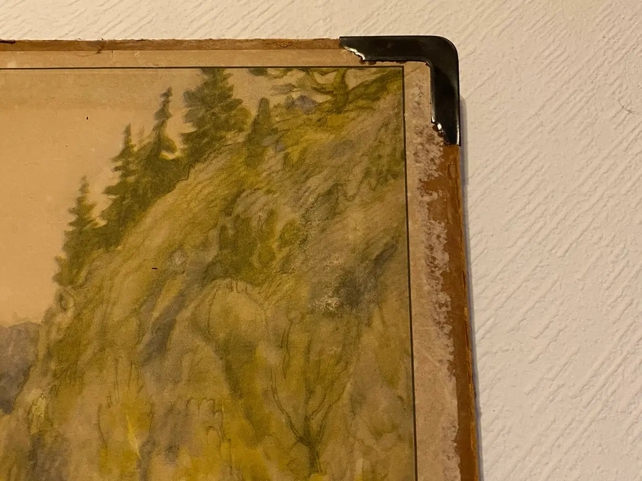 Billede 8 - Anskuelsestavle svensk forårsnatur