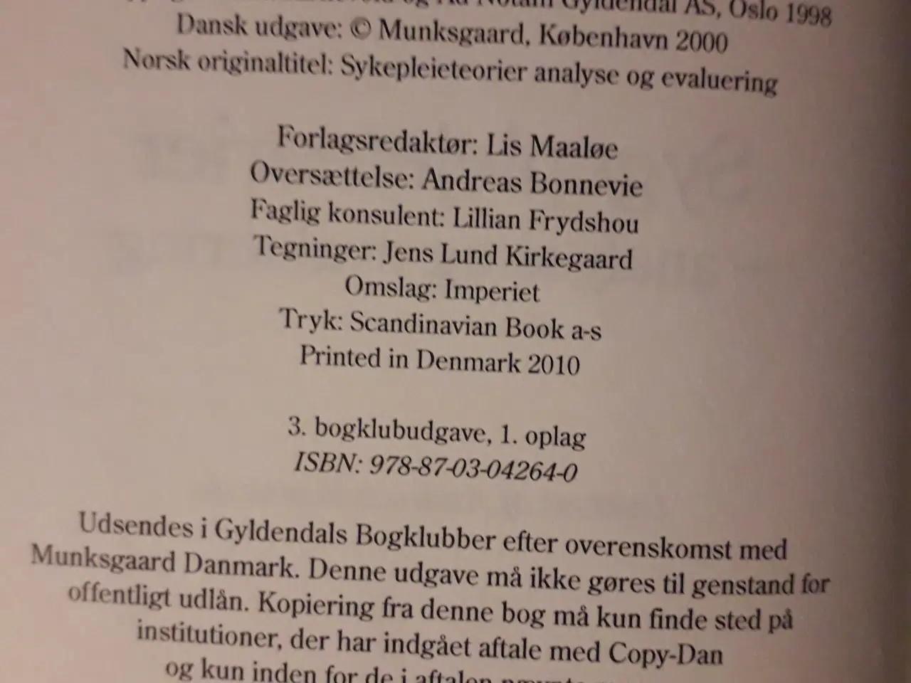 Billede 2 - Sygeplejeteorier - Analyse og evaluering