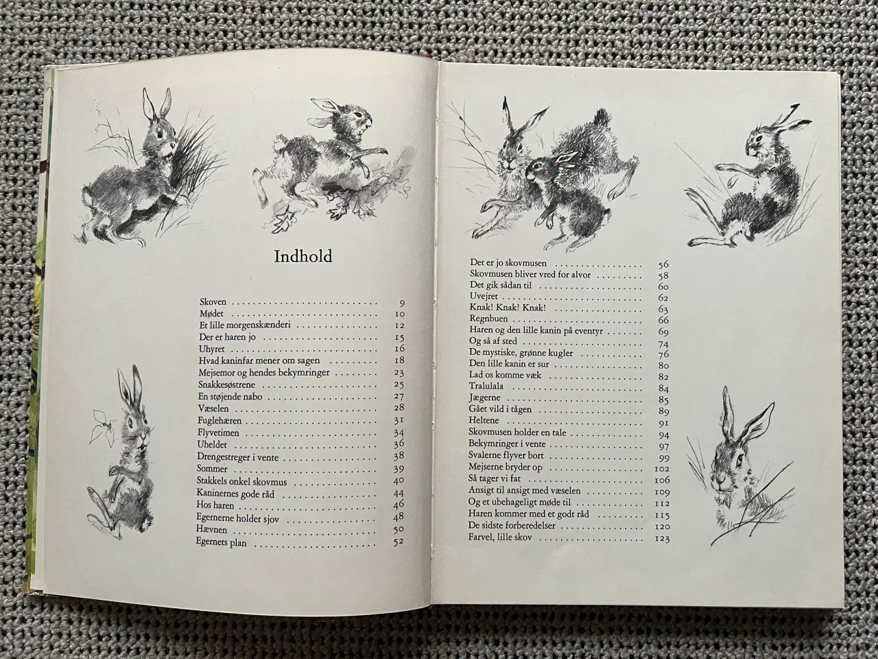 Billede 2 - Haren og den lille kanin på eventyr