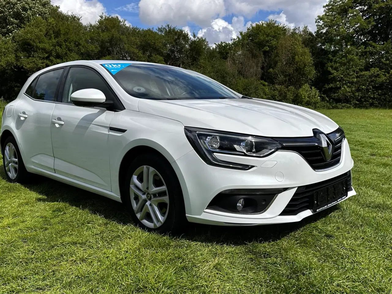 Billede 9 - Flot Renault Megane NY MODEL