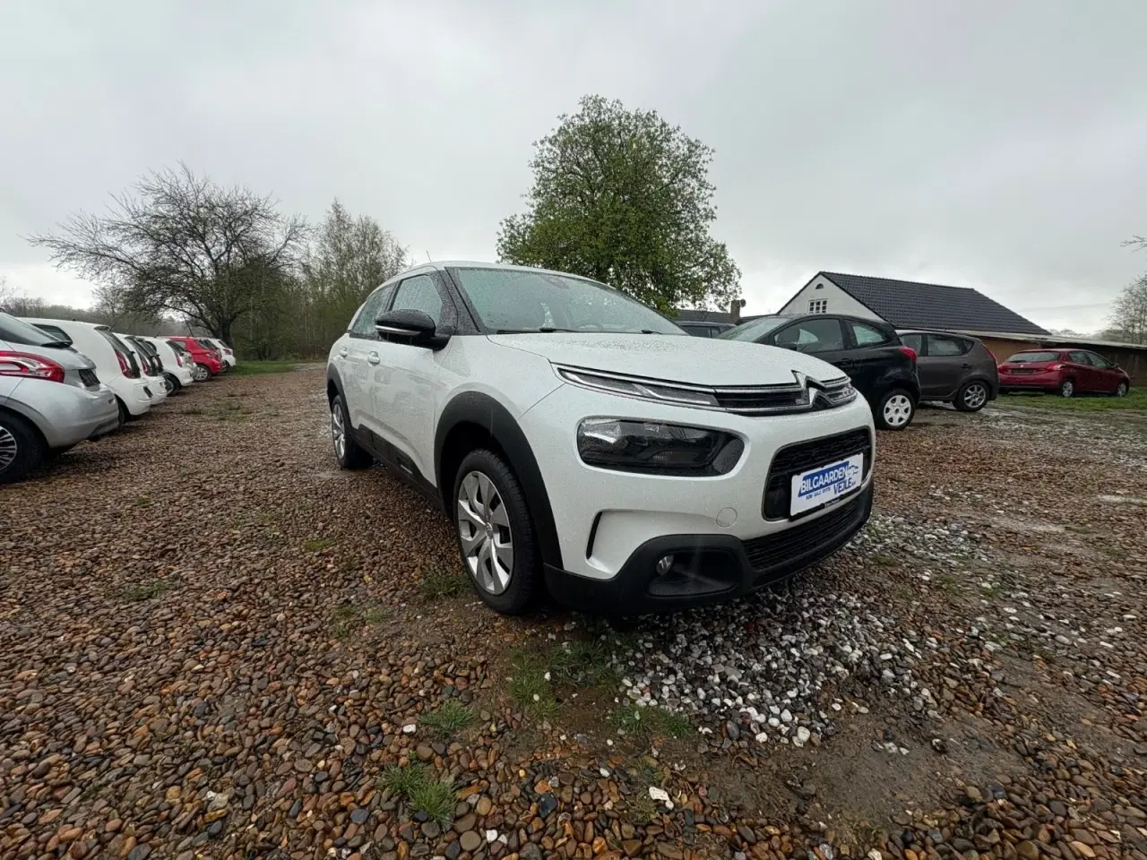 Billede 7 - Citroën C4 Cactus 1,2 PureTech 130 Iconic