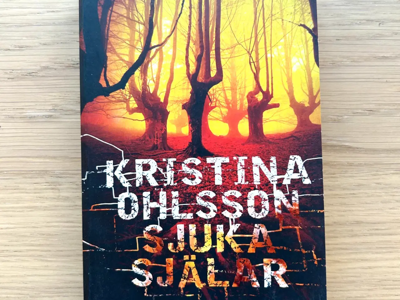 Billede 1 - "Sjuka Själar" by Kristina Ohlsson - (in Swedish)