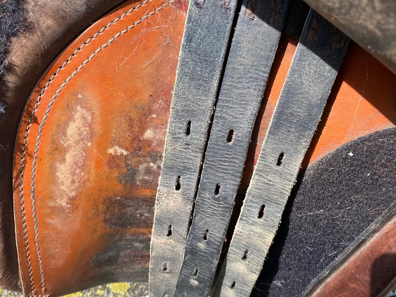 Billede 3 - Santa Cruz Springsadel
