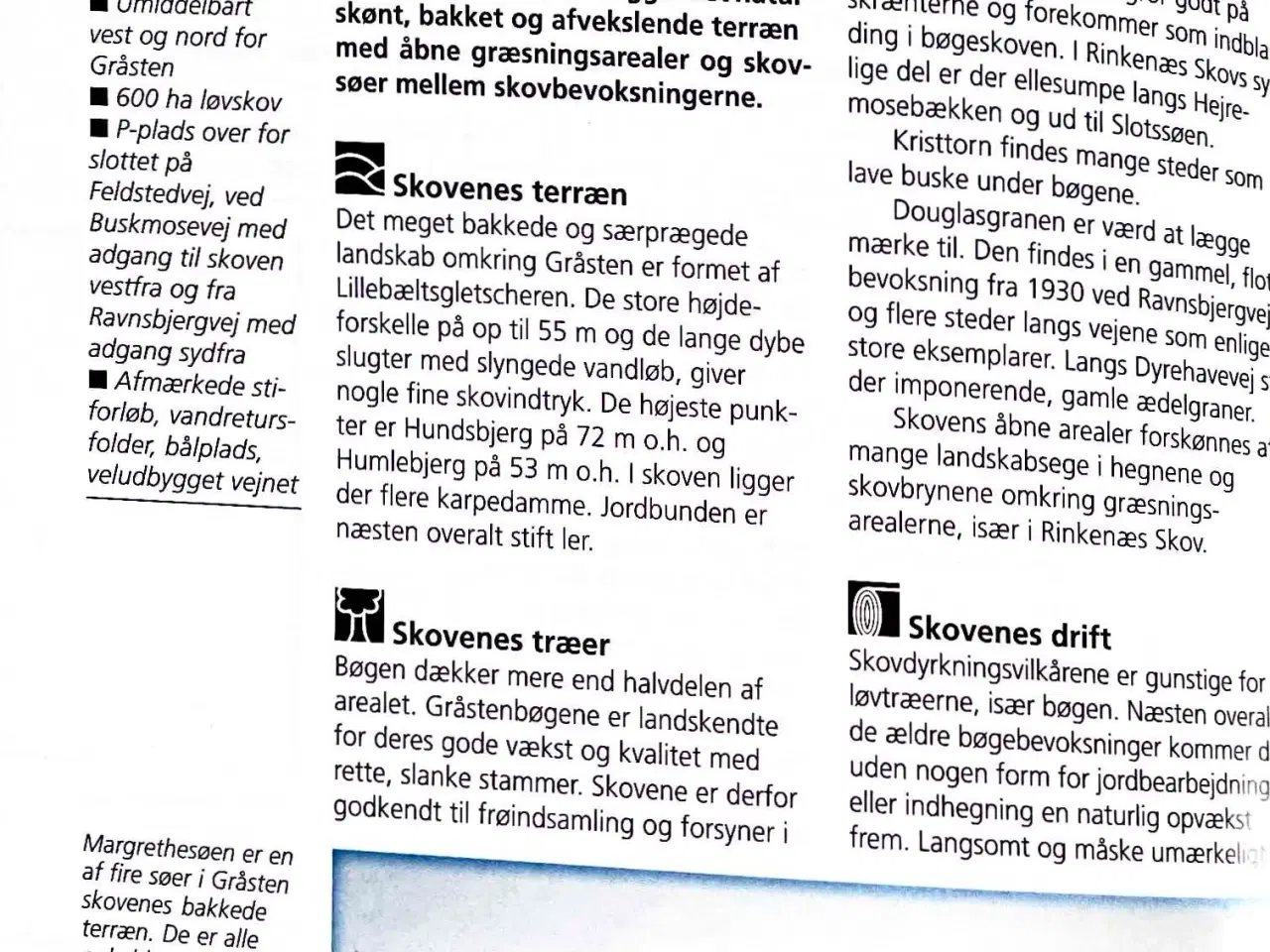 Billede 5 - Danmarks Skove - udvidet udgave - NU 400 Skove 