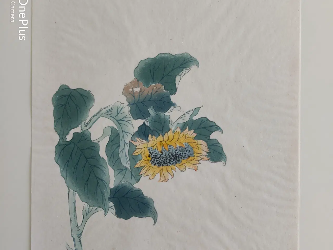 Billede 5 - blomster illustrationer, gl. kinesiske