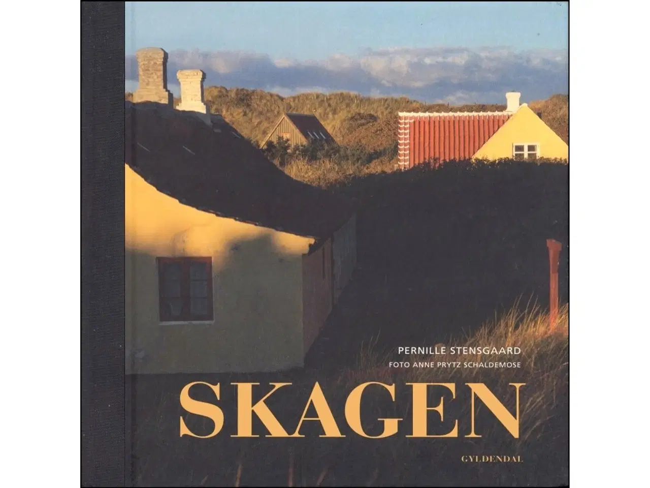 Billede 1 - Skagen