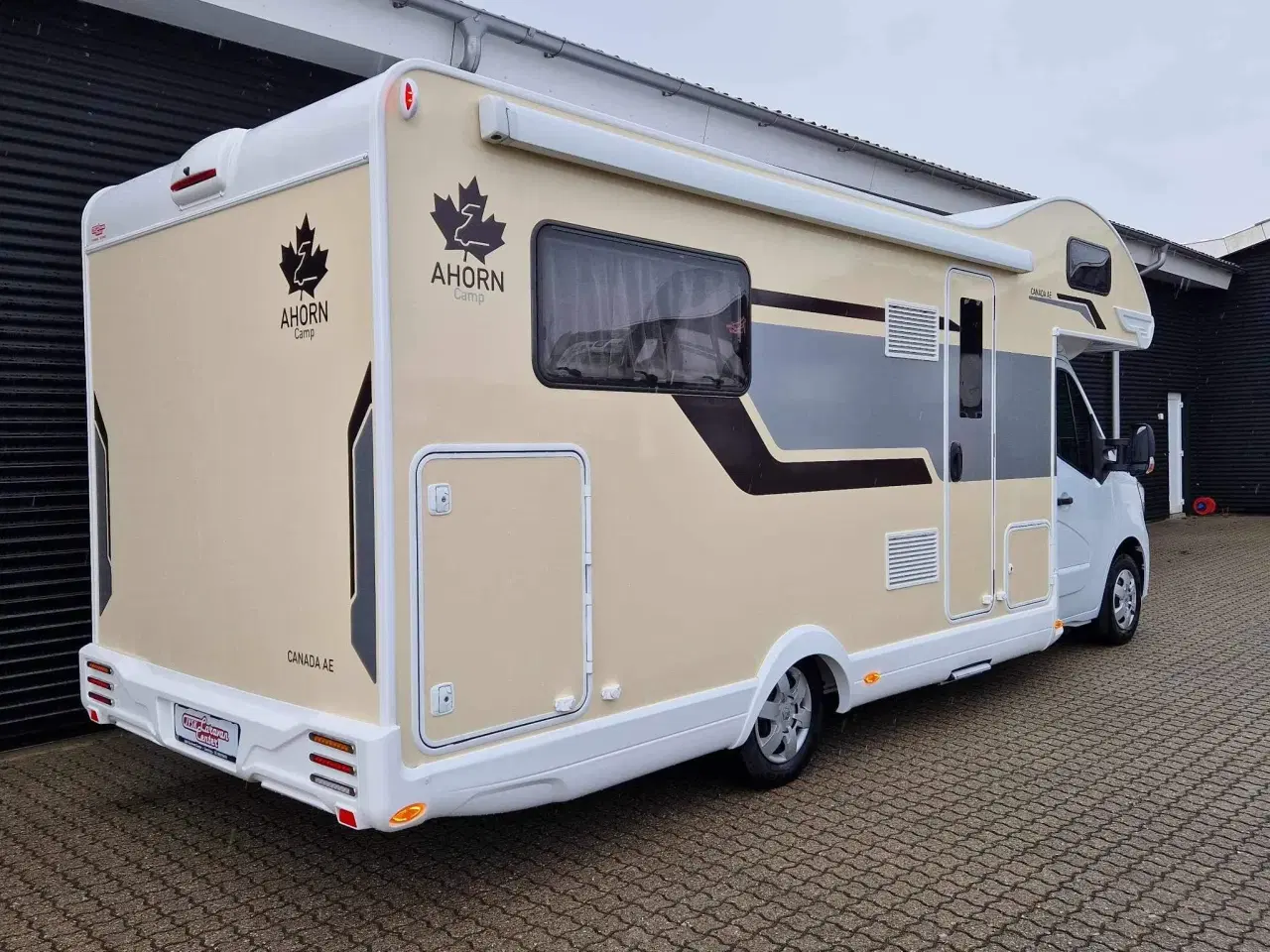 Billede 2 - 2023- Ahorn Canada AE