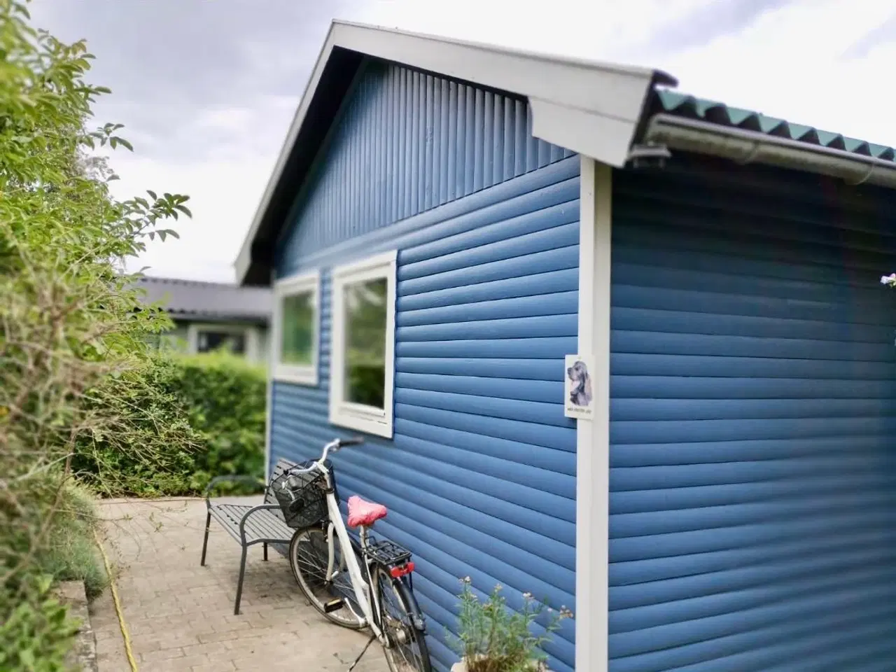 Billede 4 - Kolonihave Køge
