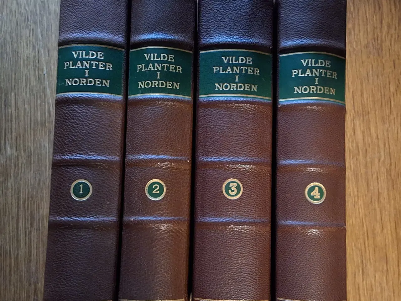 Billede 1 - VILDE PLANTER I NORDEN 1-4, K. GRAM og KNUD JESSEN