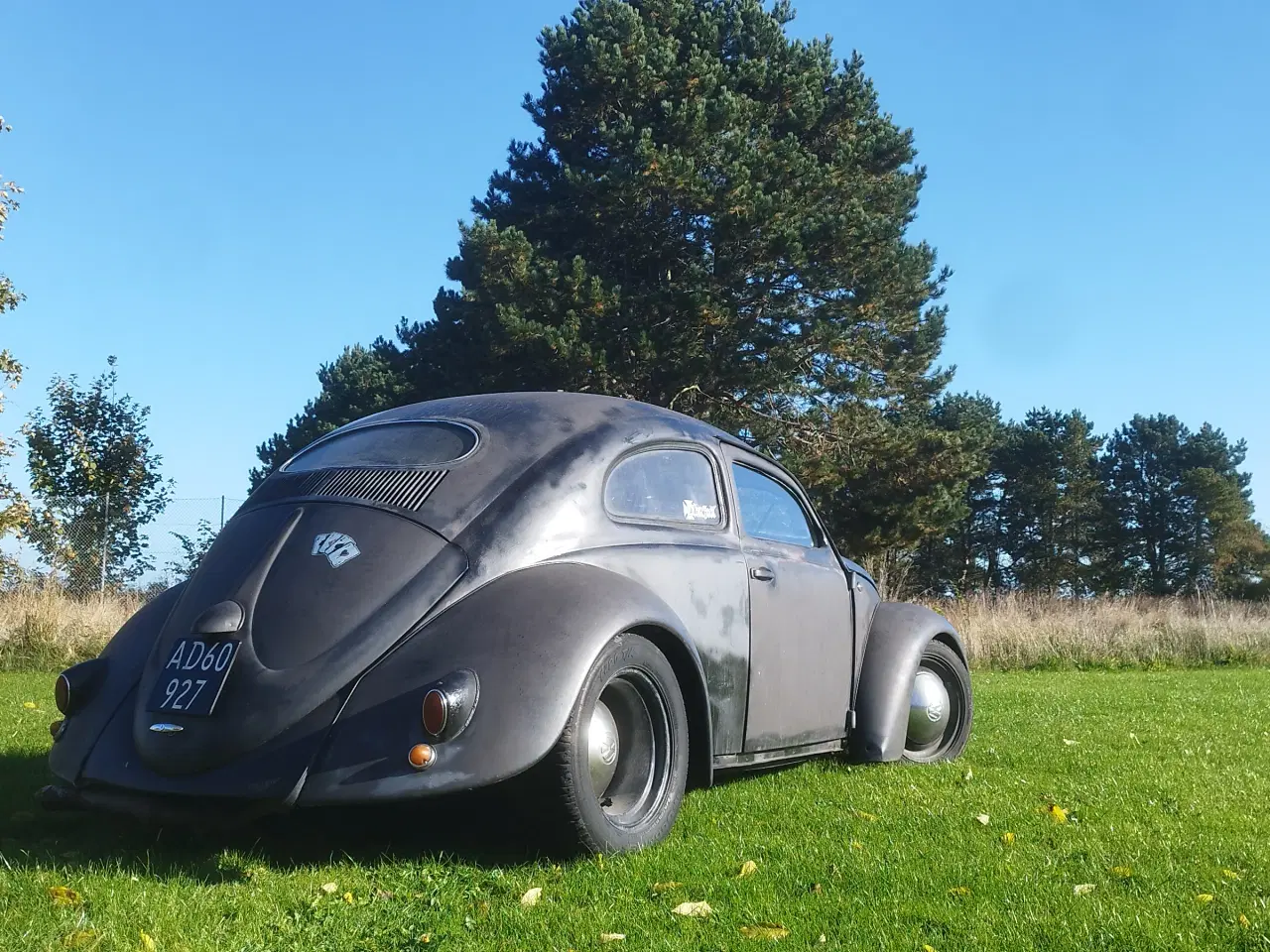 Billede 2 - Vw bobbel model 1955