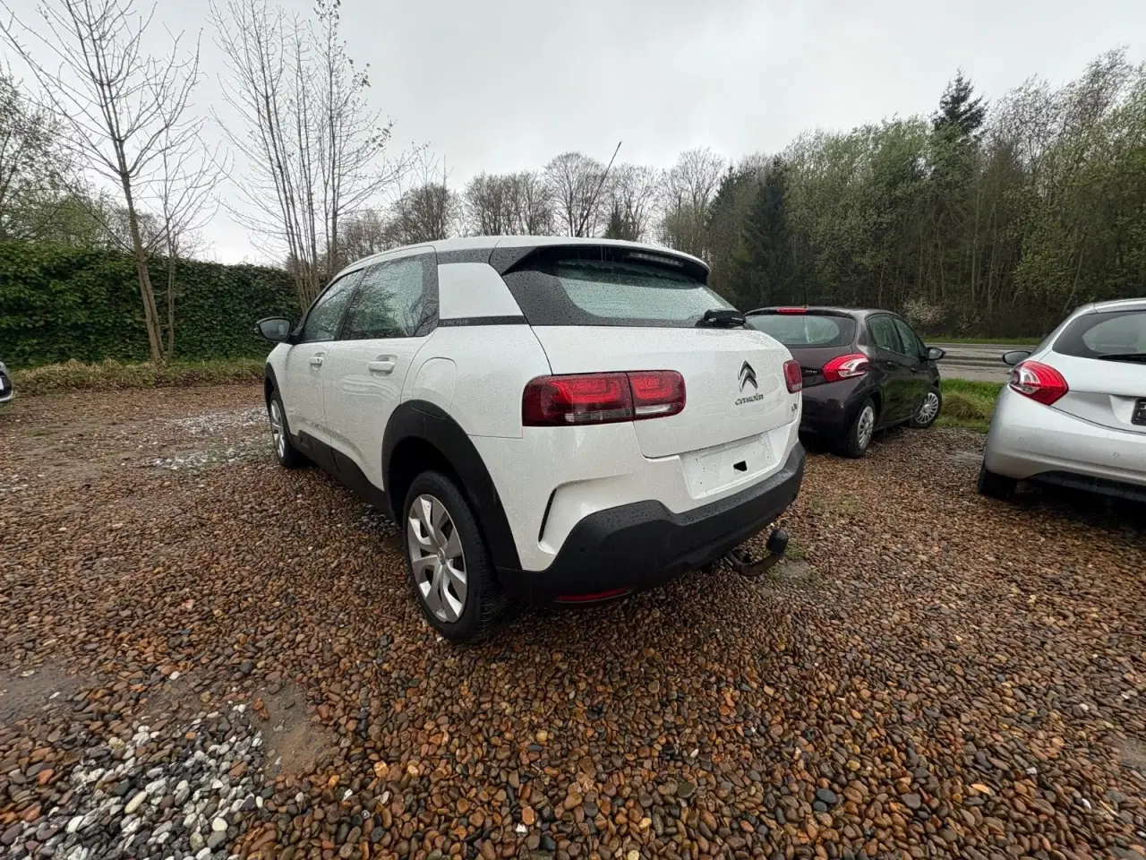 Billede 3 - Citroën C4 Cactus 1,2 PureTech 130 Iconic