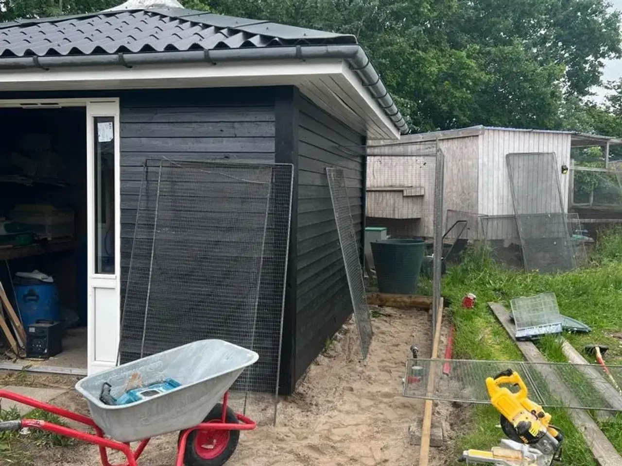 Billede 1 - Jeg henter gratis fugle til privat hjem