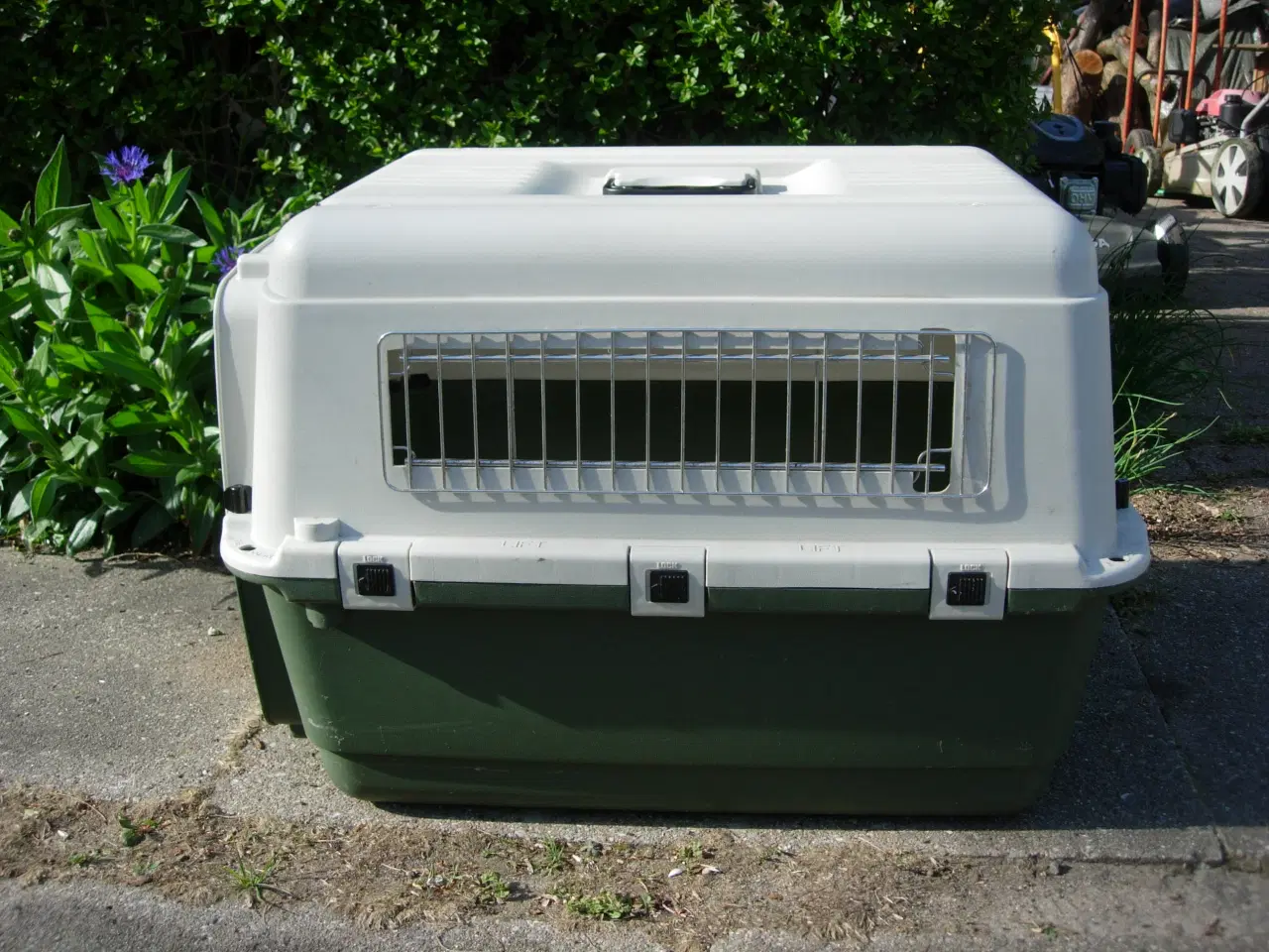 Billede 1 - Hundetransportkasse
