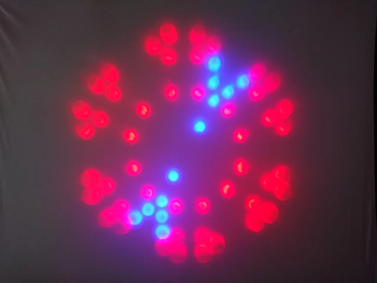 Billede 13 - Udlejes - JBSystem CALYPSO Light - 156 LED