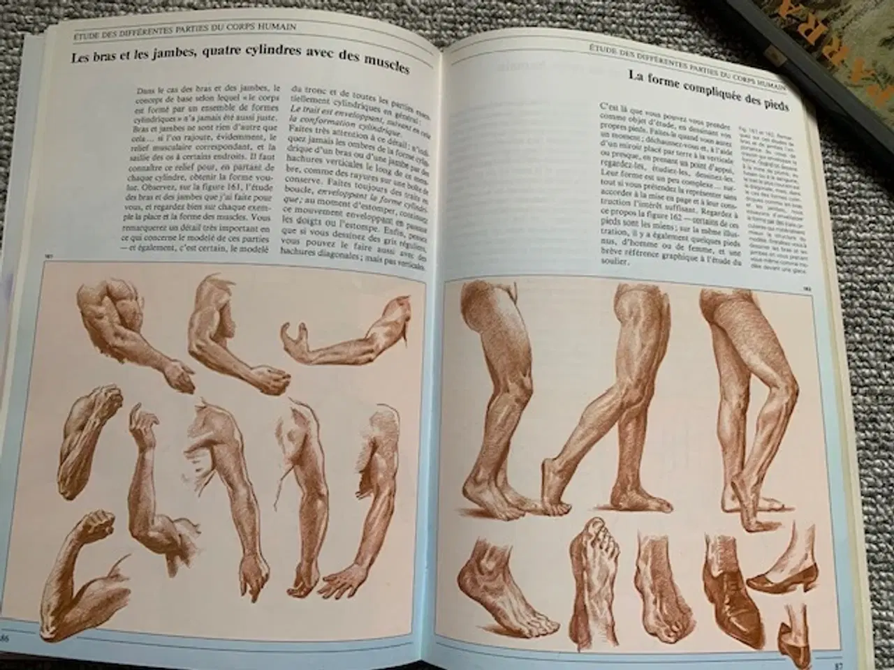 Billede 4 - Tegn en krop - Comment dessiner le Corps Humain