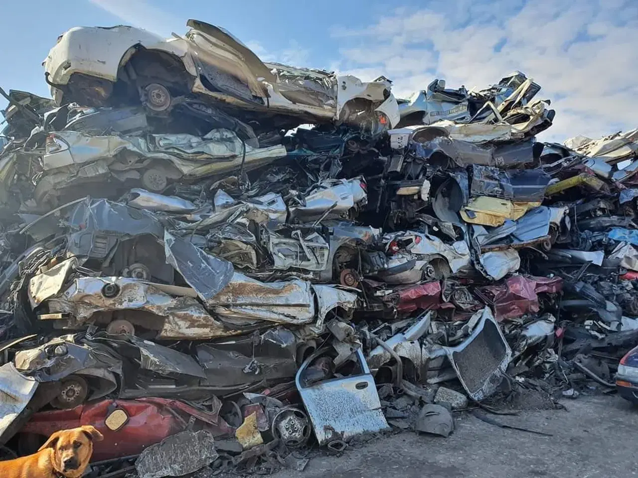 Billede 2 - Skrotbiler købes 3500