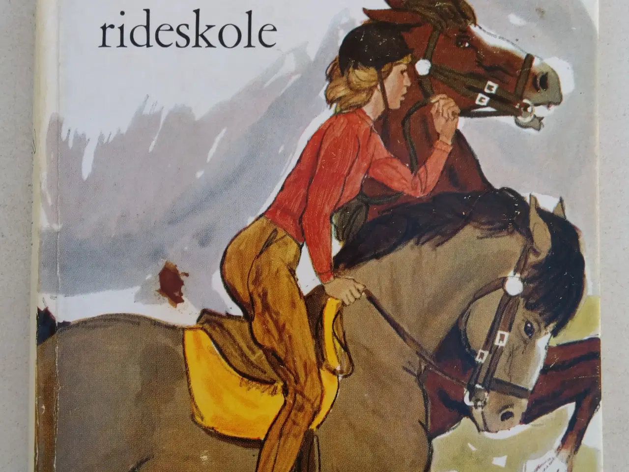 Billede 1 - Pia´s Rideskole