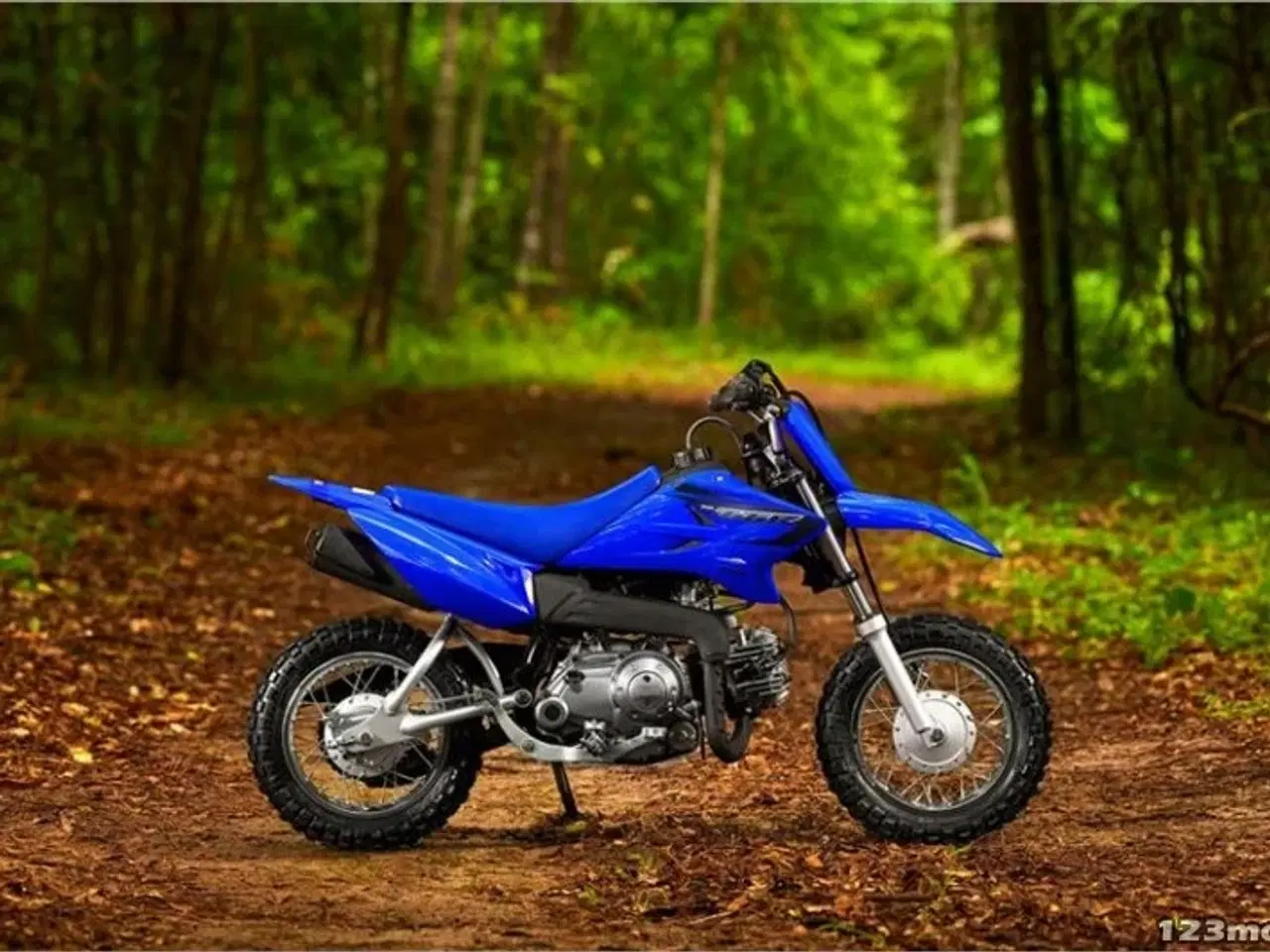 Billede 2 - Yamaha TT R50E