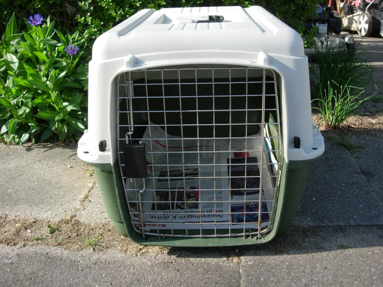 Billede 2 - Hundetransportkasse
