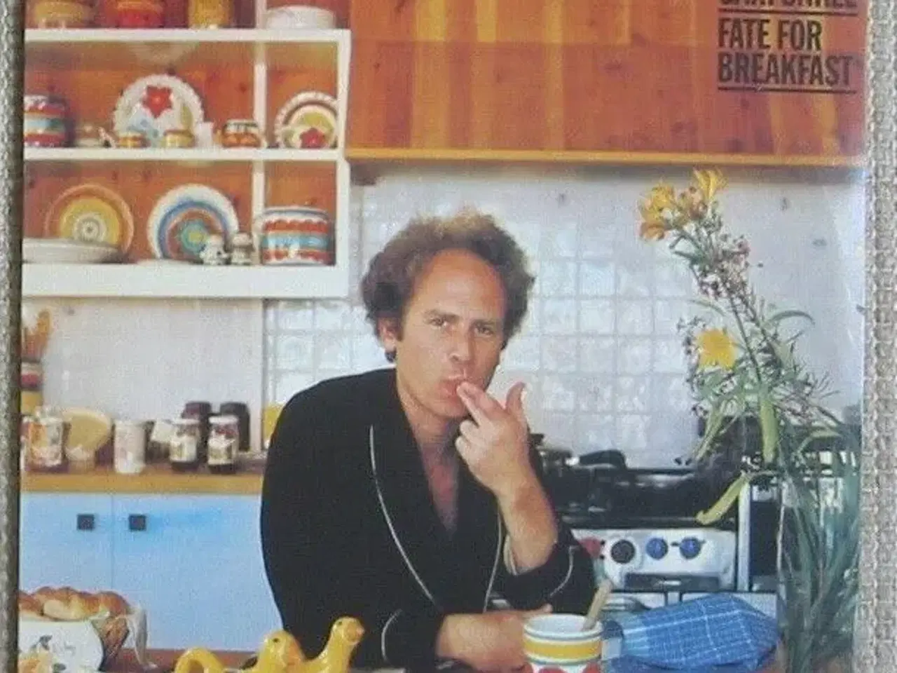 Billede 1 - Art Garfunkel