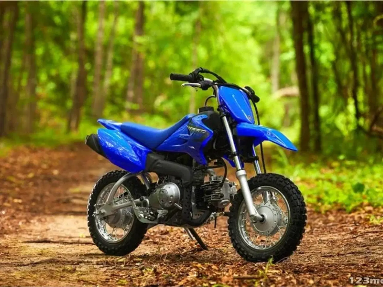 Billede 1 - Yamaha TT R50E