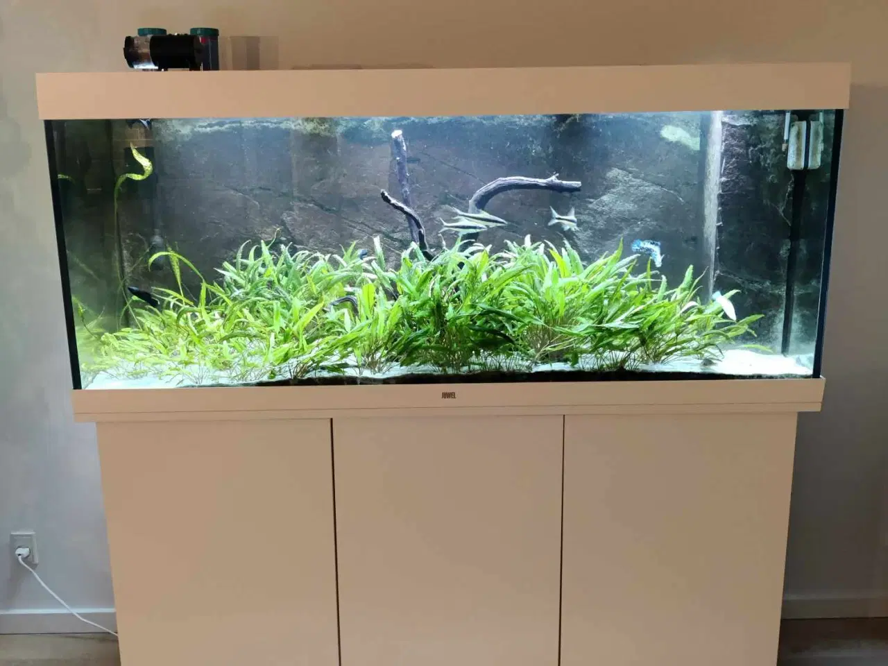 Billede 1 - Juwel 450L Akvarie