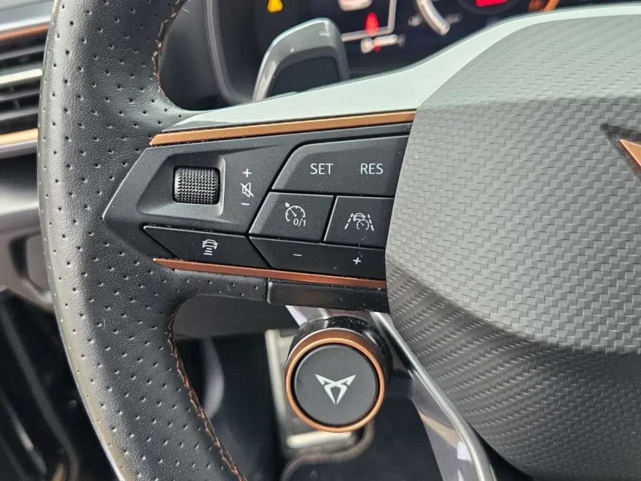 Billede 12 - Cupra Formentor 2,0 TSi VZ DSG 4Drive