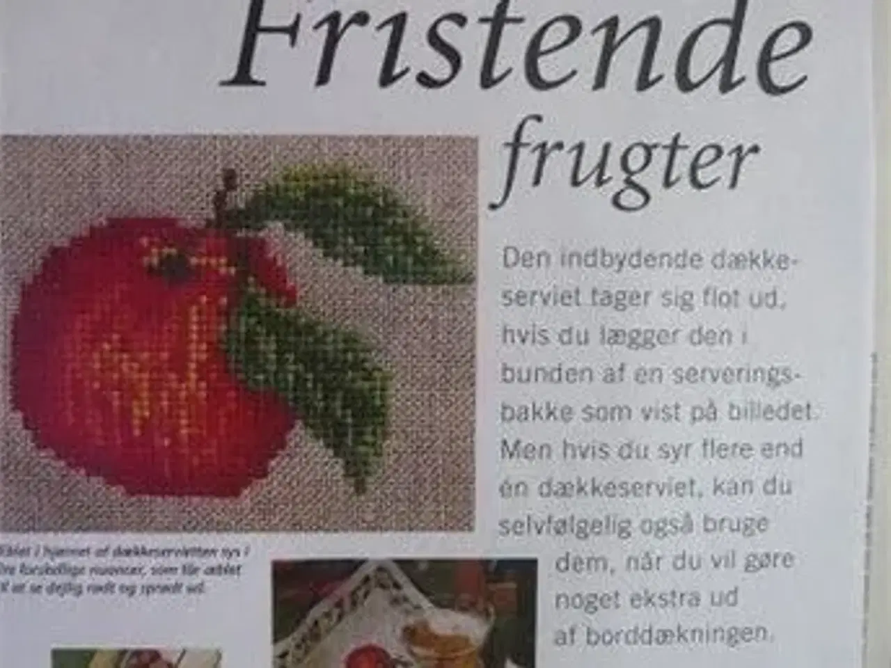 Billede 16 - Korsstingsbroderi opskrifter