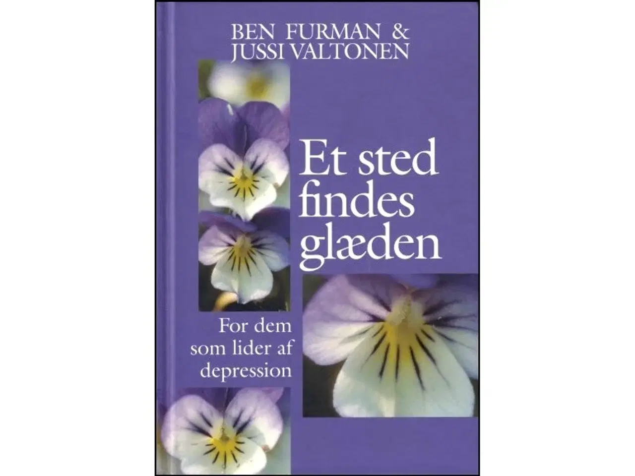 Billede 1 - Et sted findes Glæden