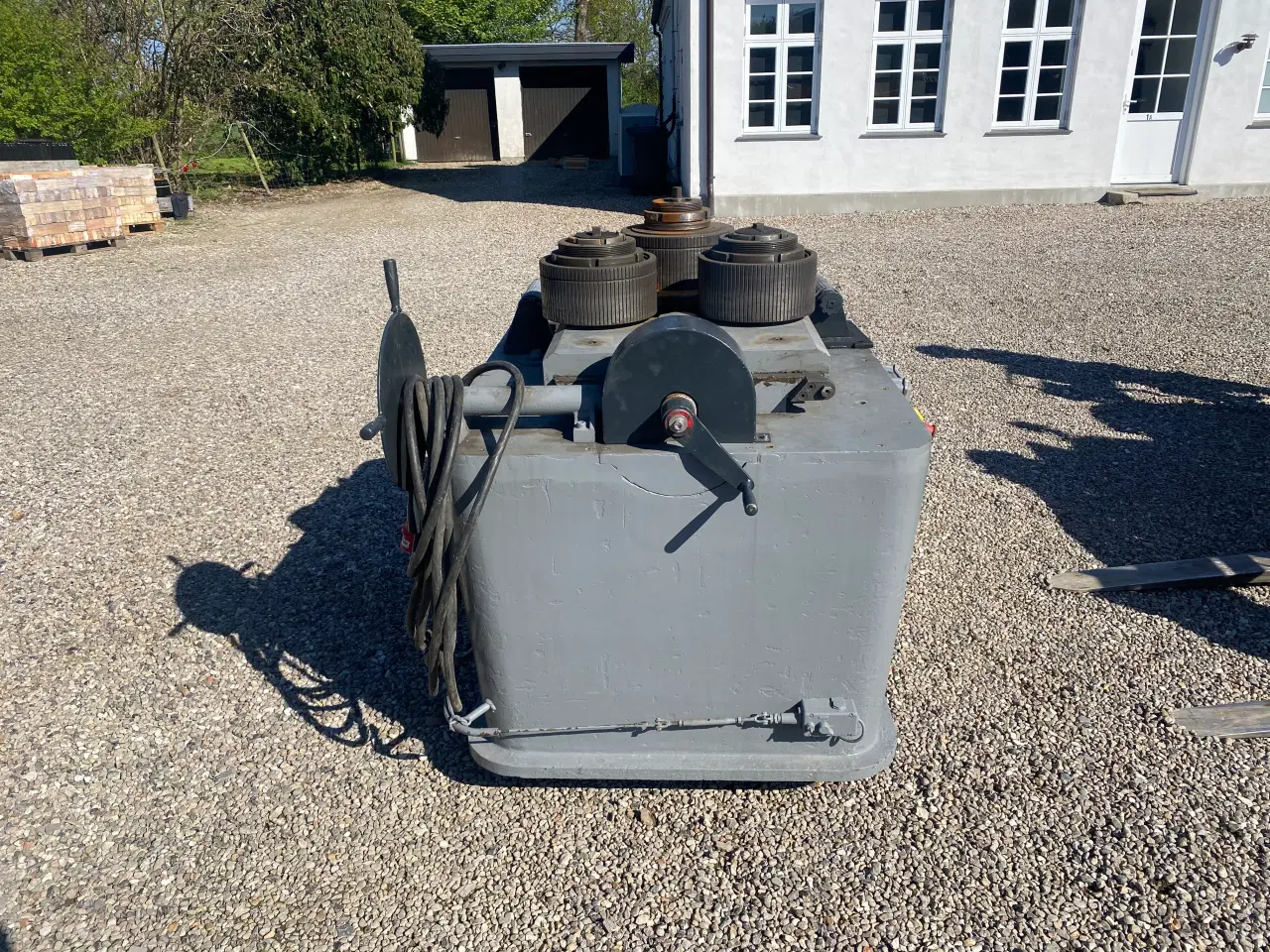 Billede 2 - Boldirini BSA bukker