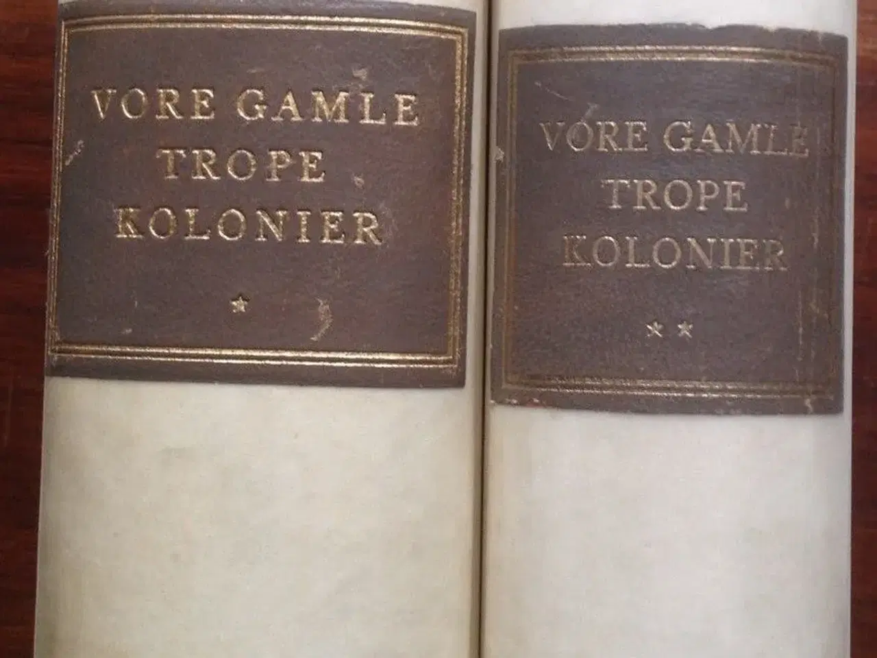 Billede 1 - Vore gamle Troppekolonier