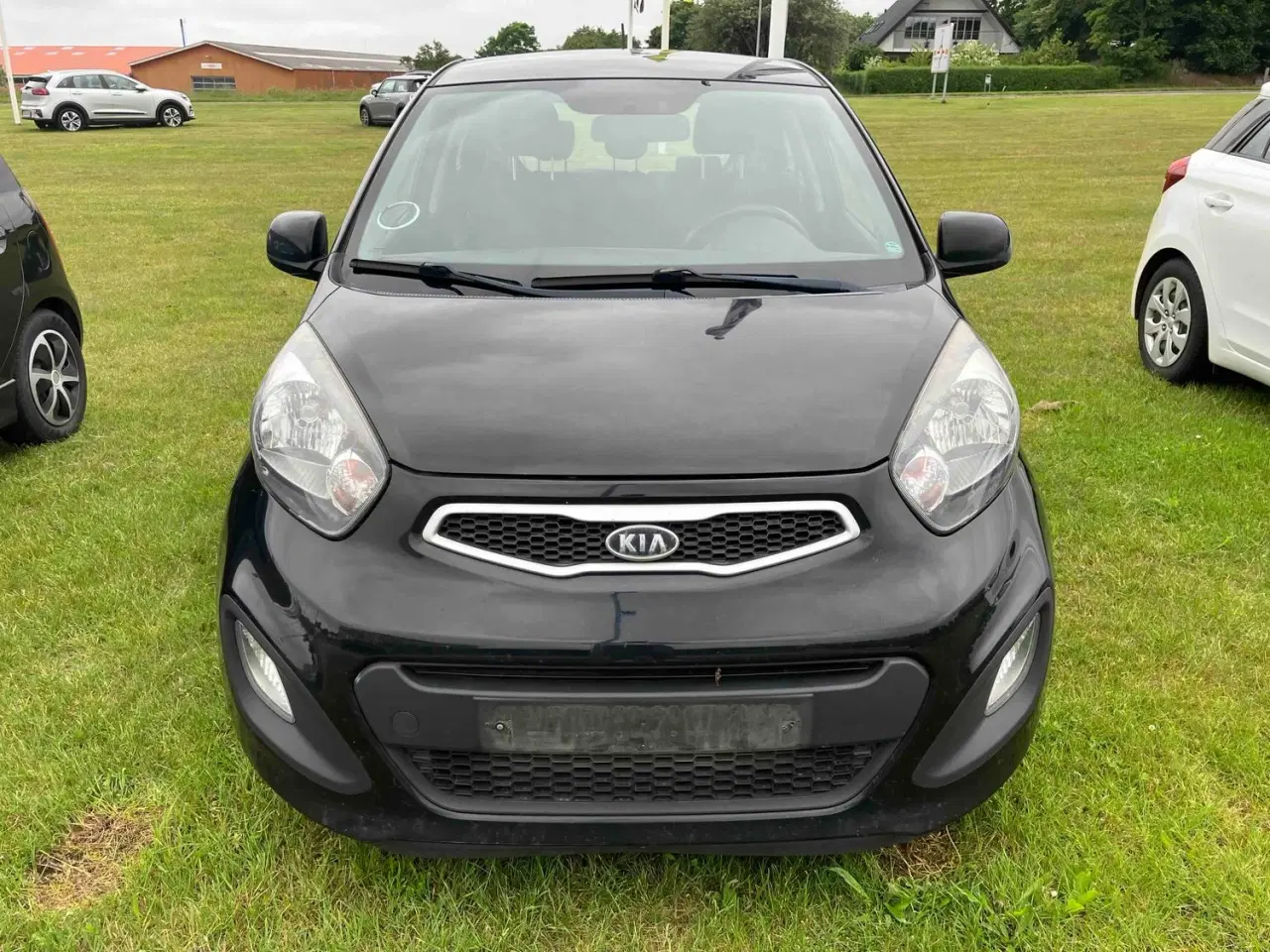 Billede 1 - Kia PICANTO Active1,2 benzin--