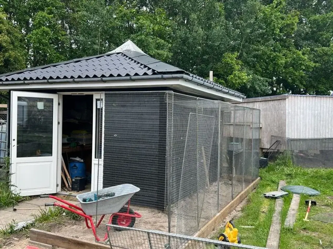 Billede 2 - Jeg henter gratis fugle til privat hjem