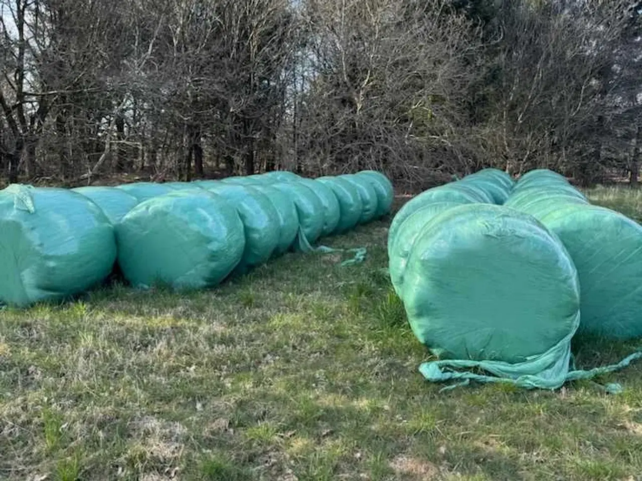 Billede 1 - 2024 økologisk wrap 