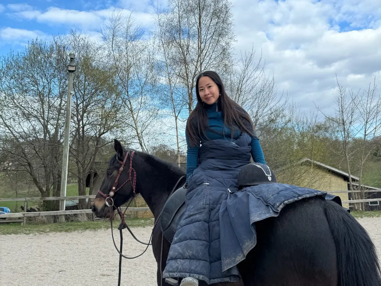 Billede 3 - Nyholms Bonzai oldenborg hoppe