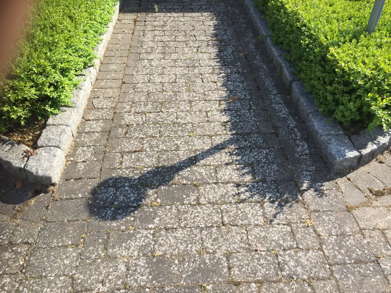 Billede 3 - Billig Fliserensning