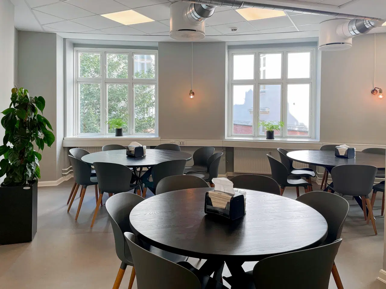 Billede 4 - Plads i åbne kontorlandskaber til 10 personer