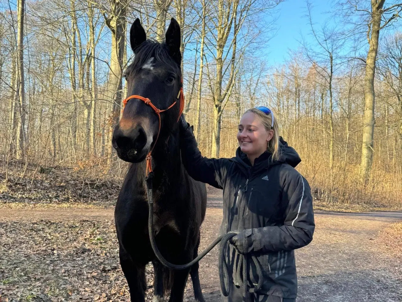 Billede 2 - Nyholms Bonzai oldenborg hoppe
